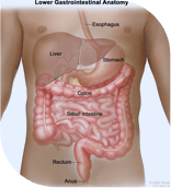 Colon and Rectal Surgeon Broward County