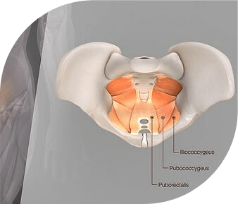 Introduction to Anorectal Disorders Fort Lauderdale